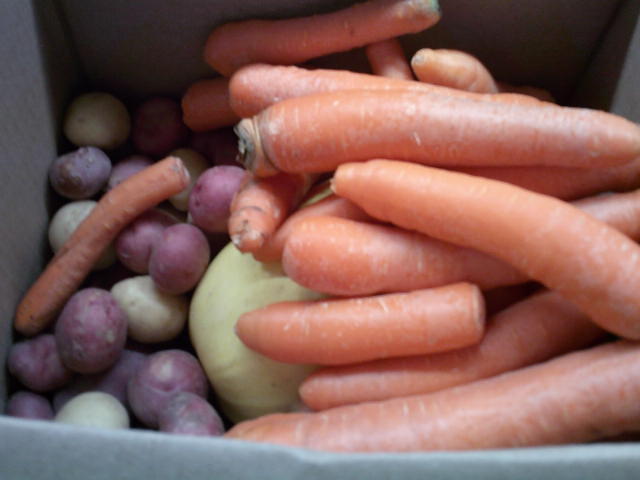 Red potatoes, squash, russet potatoes, carrots, and eggplants in a cardboard box.